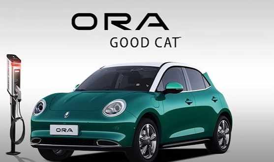 Green ORA GOODCAT